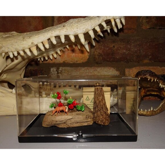 Vintage Craft Wood Original Creations Desert Scene Diorama horse cactus wood - Picture 7 of 16